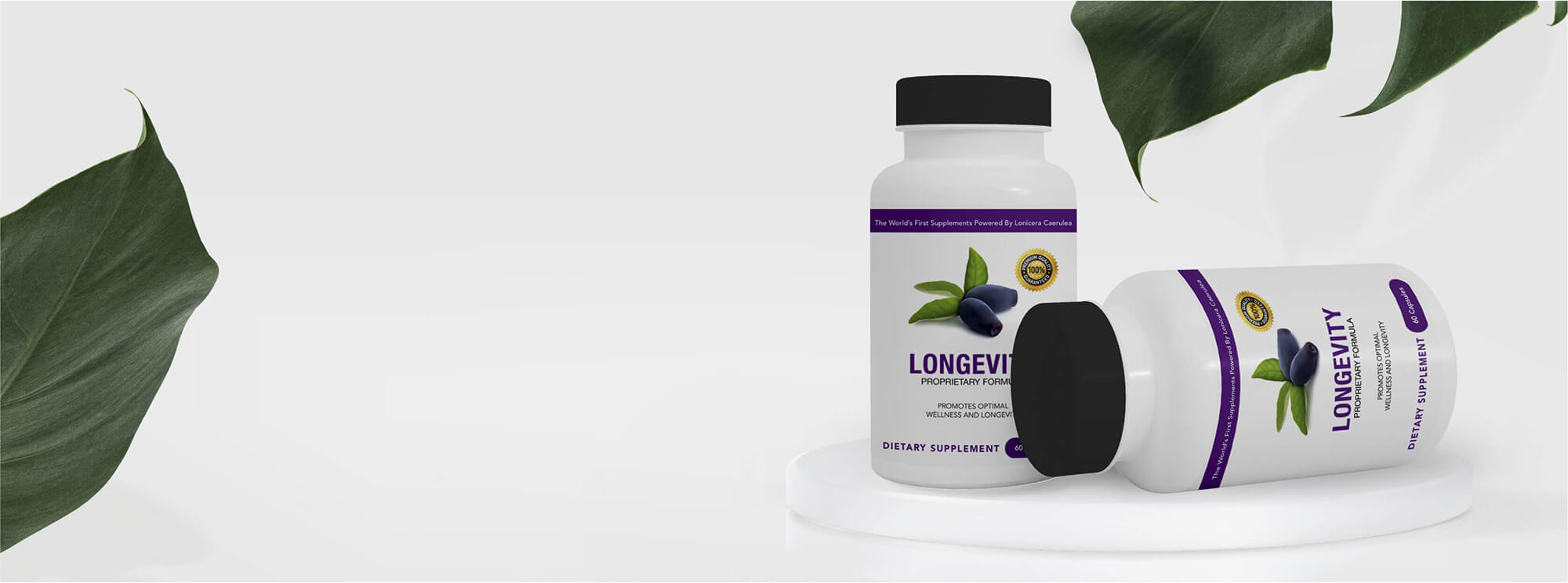 Lonicera Longevity